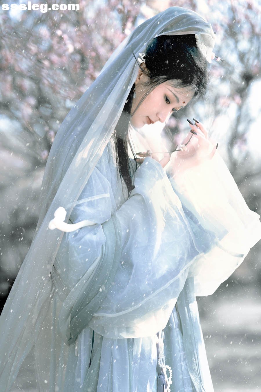 01.jpg
